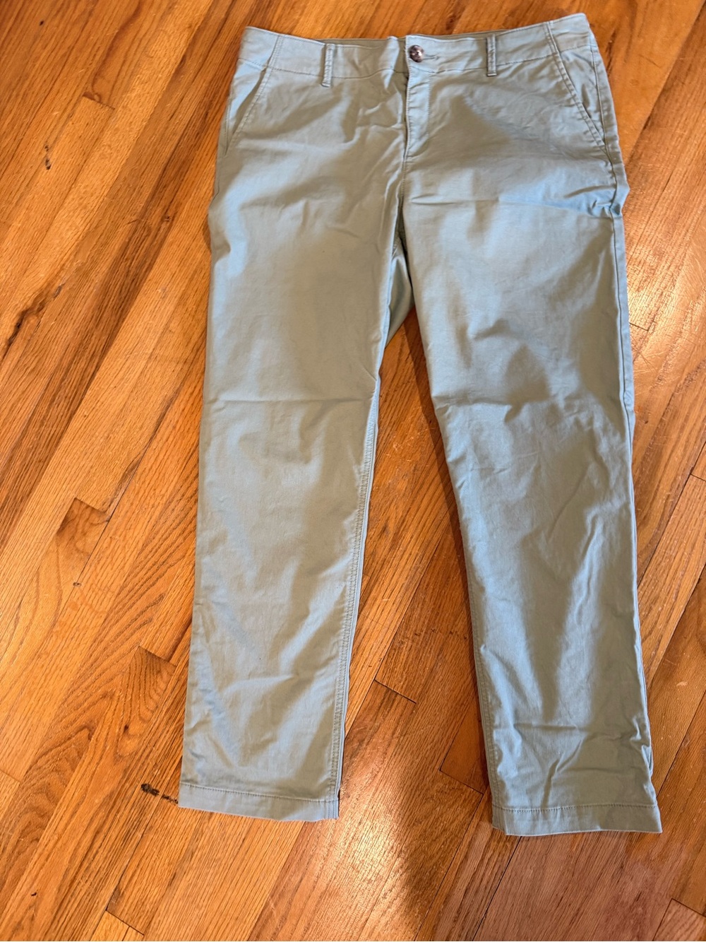 LOFT 14T tall Sage Green Chino Pants